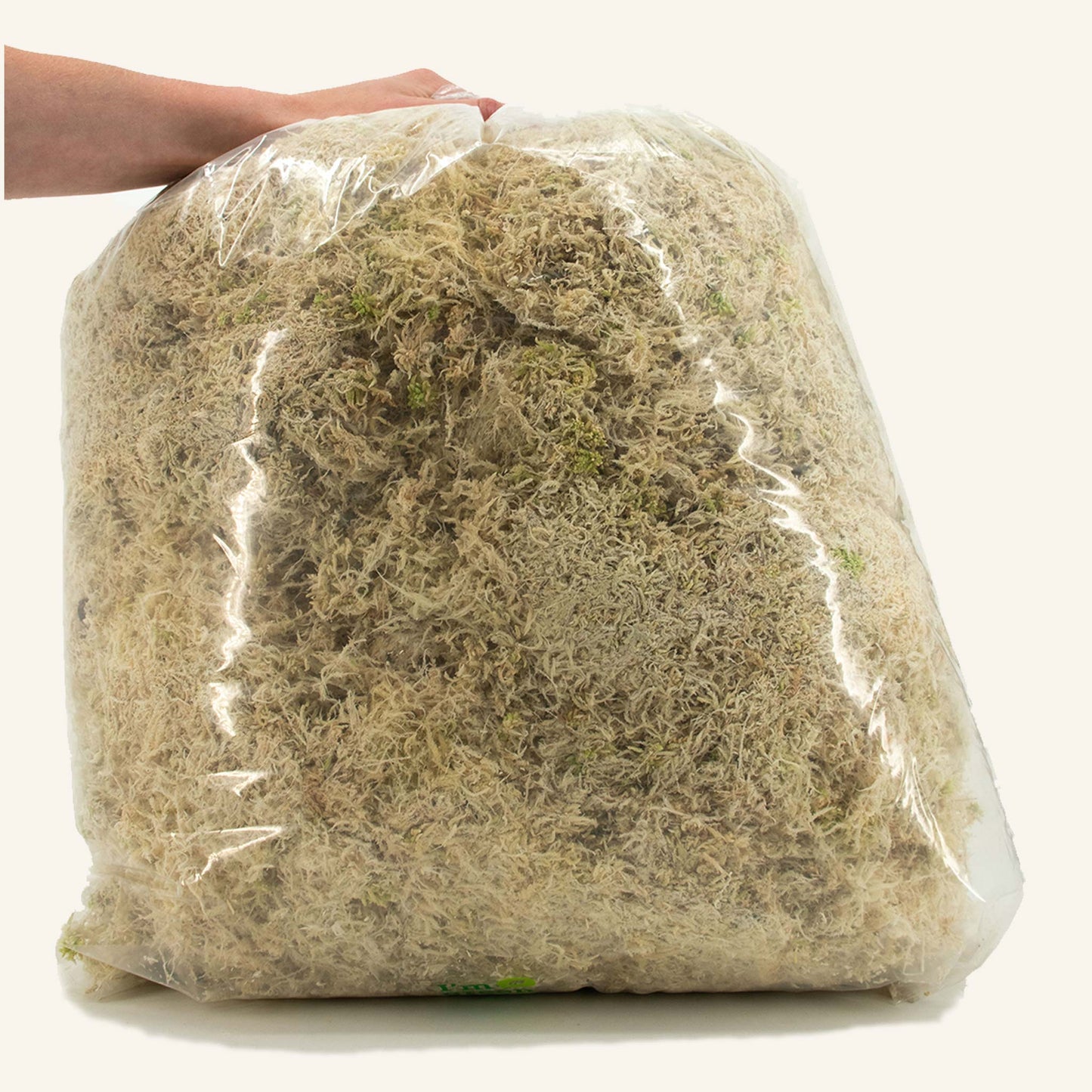 Sphaxx (Sisätiloissa kasvatettu Sphagnum)