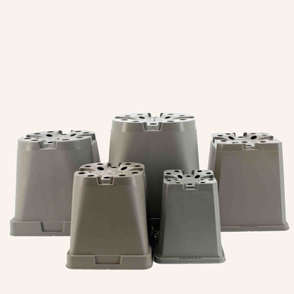 Grey Square Pots